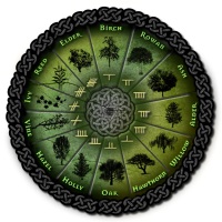 календарь друидов деревья