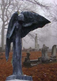 черная вдова на кладбище