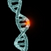 Люди-мутанты – сбой в геноме