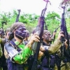 Объединённые силы самообороны Колумбии: оборона террористическими методами