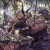 Травоядные динозавры: размер имеет значение