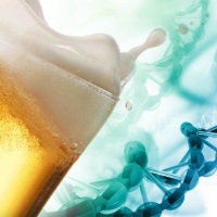 влияние алкоголя на гены