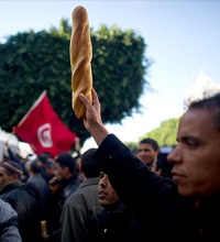 глобальный экономический кризис демократизация Туниса