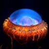 странные обитатели океана Медуза Атолла